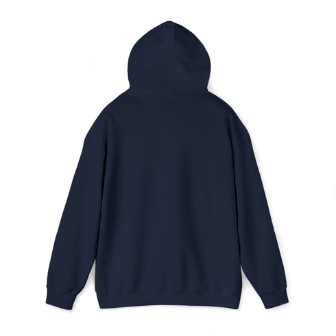 Women Hoodies Women Heavy Blend™ Hooded Sweatshirt Warms hoodies